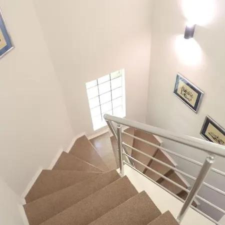 Tara - Center * 塞拉耶佛